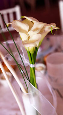 Décoration de table gros plan d'un bouquet d'Arum avec du ruban